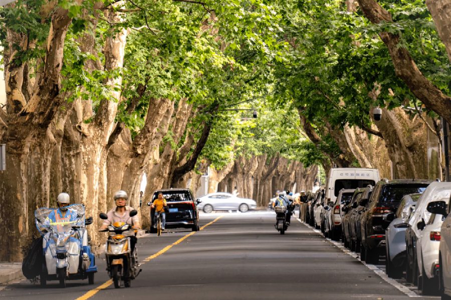 Zhujiajiao Ancient Town and Shanghai French Concession Private Day Tour City Center Pick-up and Drop-off