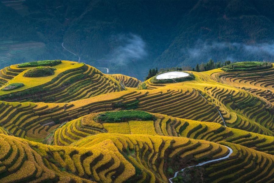 Private One-Day Tour of Guilin Longji Terraced Fields