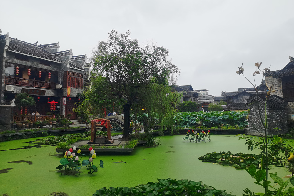 Dumei Cultural Tourism